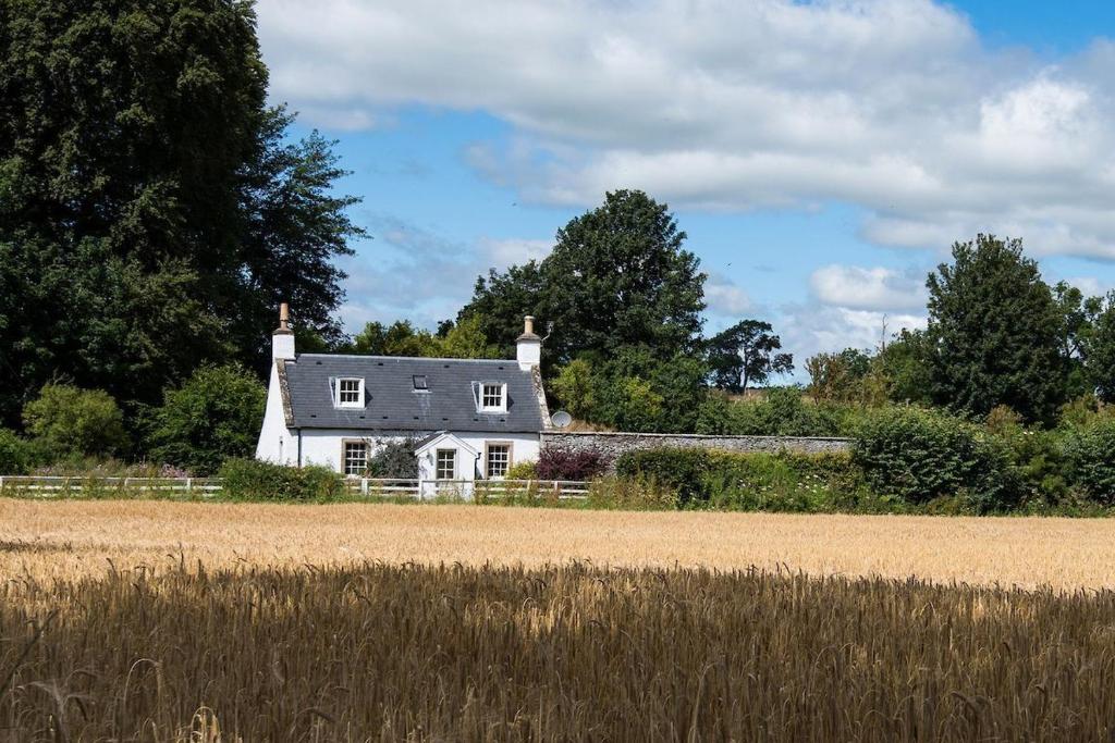 une maison blanche au milieu d'un champ dans l'établissement Garden Cottage, Teviot Bank, à Denholm