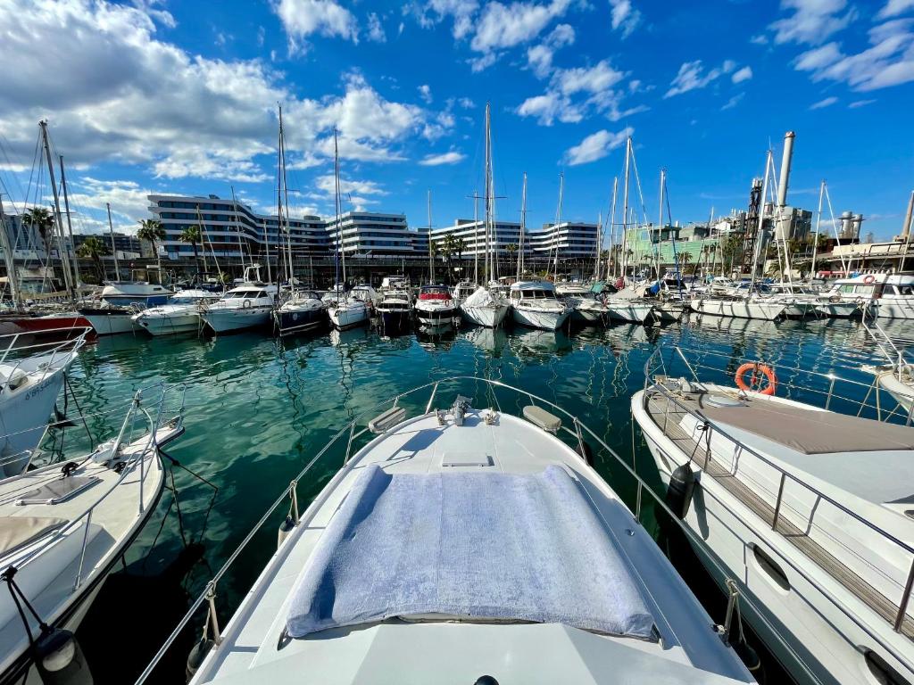 um barco ancorado numa marina com muitos barcos em Barco amplio con 2 camarotes / Comfy Boat with 2 bedrooms - Barcelona em Barcelona