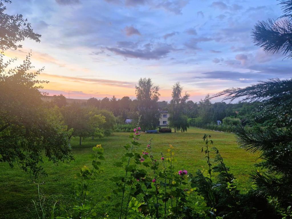 pole trawy z domem w tle w obiekcie Rozbrykany Muflon w mieście Witoszów Dolny