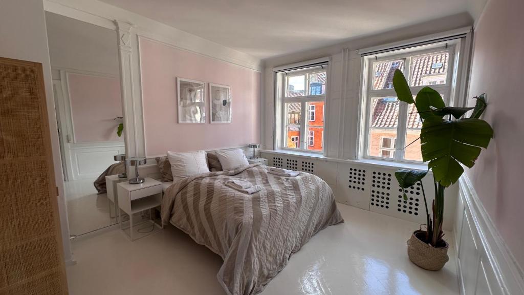 1 dormitorio con 1 cama y una maceta en The Square - Apartments 1 & 2 - Carolinas Apartment en Copenhague