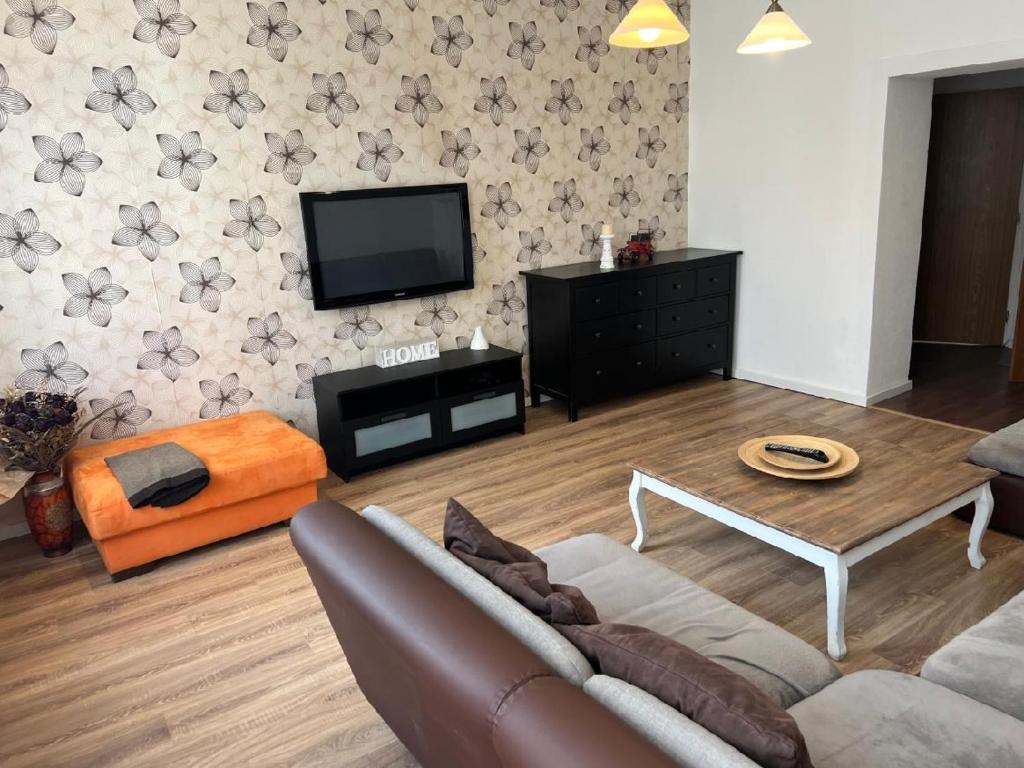 TV a/nebo společenská místnost v ubytování Apartmán Teplice
