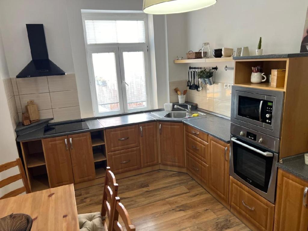 Kuchyň nebo kuchyňský kout v ubytování Apartmán Teplice