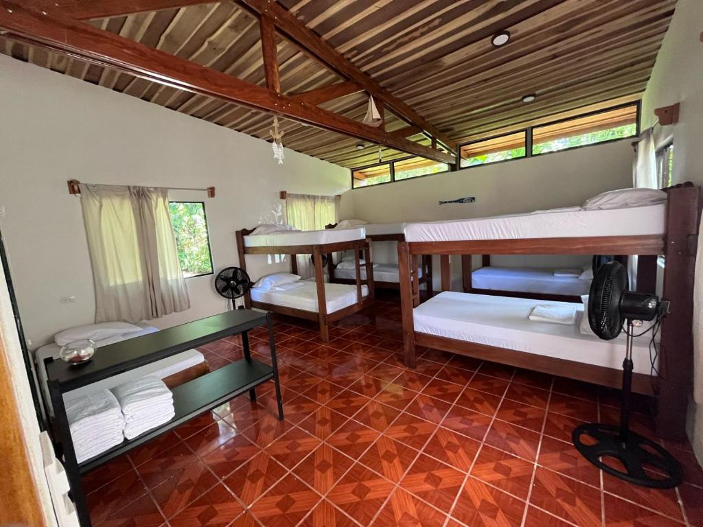 um quarto com três beliches em Shiosai Retreat Cabins em Gandoca