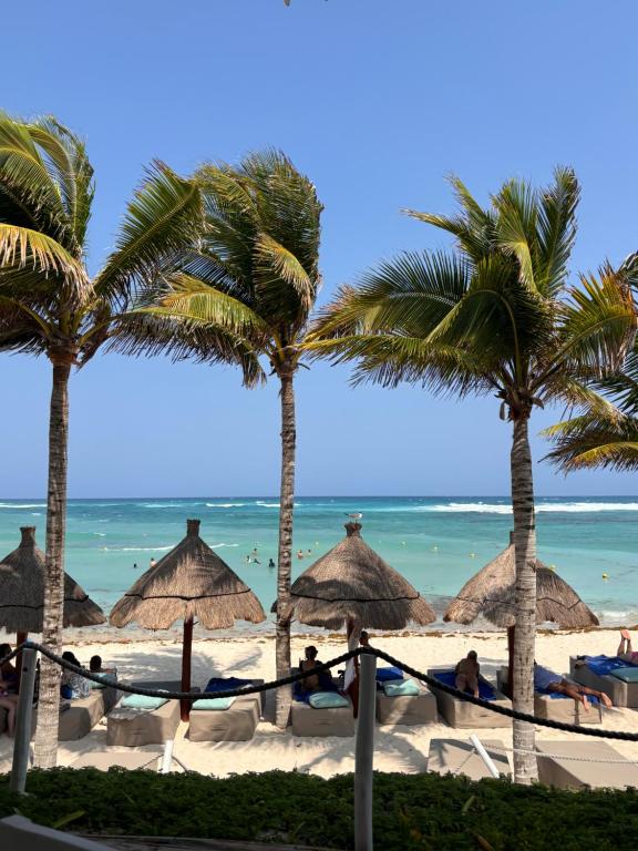 a beach with palm trees and the ocean at Golf & Beach Haven in Tulum