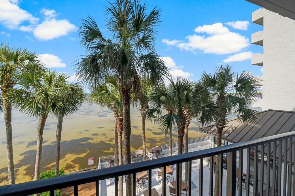 - une vue depuis le balcon d'un immeuble avec des palmiers dans l'établissement Sandestin Bayfront Studio with balcony and breathtaking views, à Destin