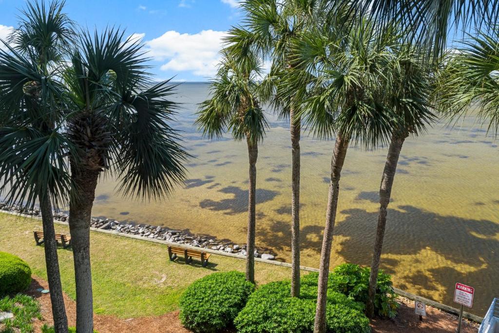 デスティンにあるSandestin Bayfront Studio with balcony and breathtaking viewsのヤシの木と水辺のベンチがある公園