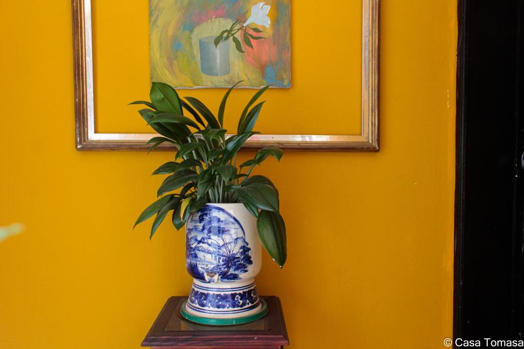Fotografie z fotogalerie ubytování Casa Tomasa v destinaci Bogotá