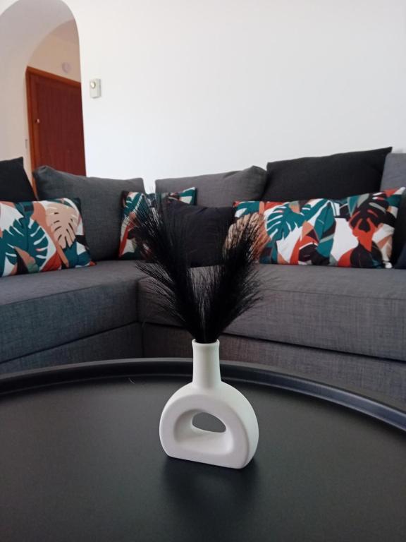 un vase avec des plumes sur une table devant un canapé dans l'établissement Bas de villa avec jardin piscine clim proche plages calanques, à Marseille