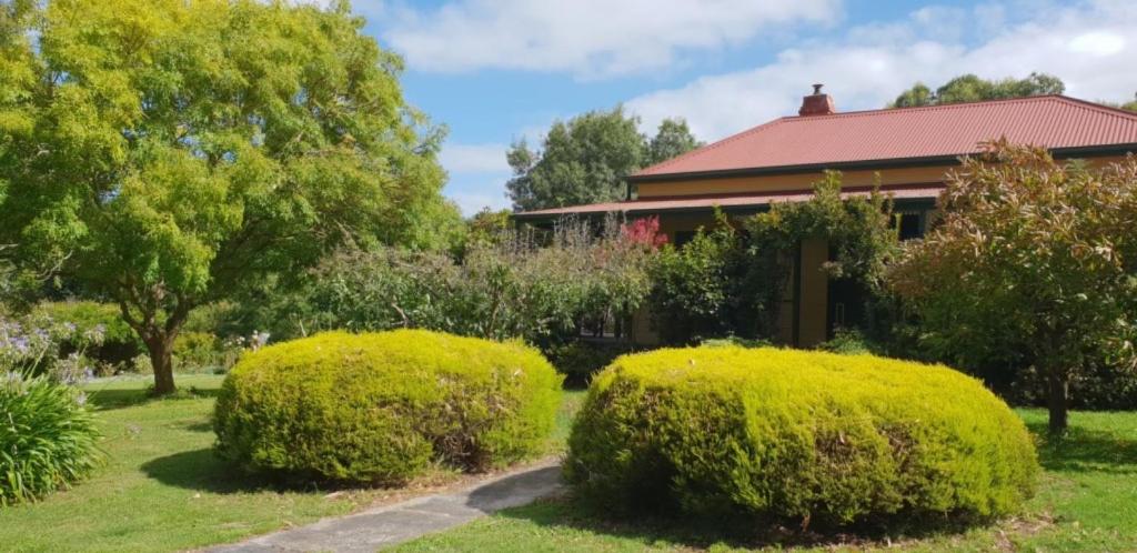 a house with bushes in front of a yard at Ripplebrook Country Cottage in Foster