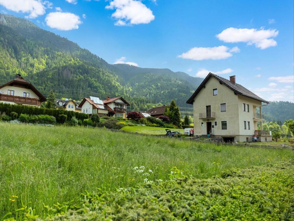 a village with a house and a grassy field at Apartment in ski area in Kötschach-Mauthen in Laas