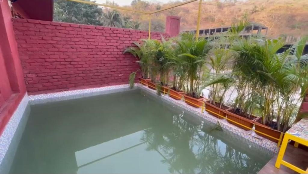 een zwembad op het dak van een huis met palmbomen bij Villa Verona in Mumbai