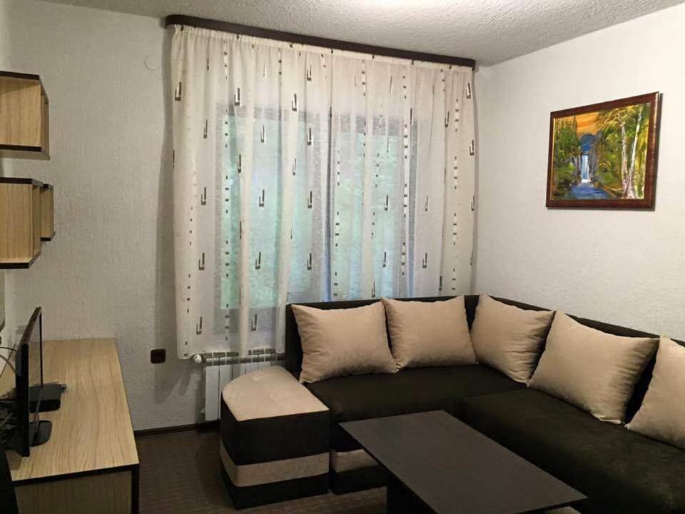Family Hotel Ginger - Suite De Una Habitación (4 Adultos)