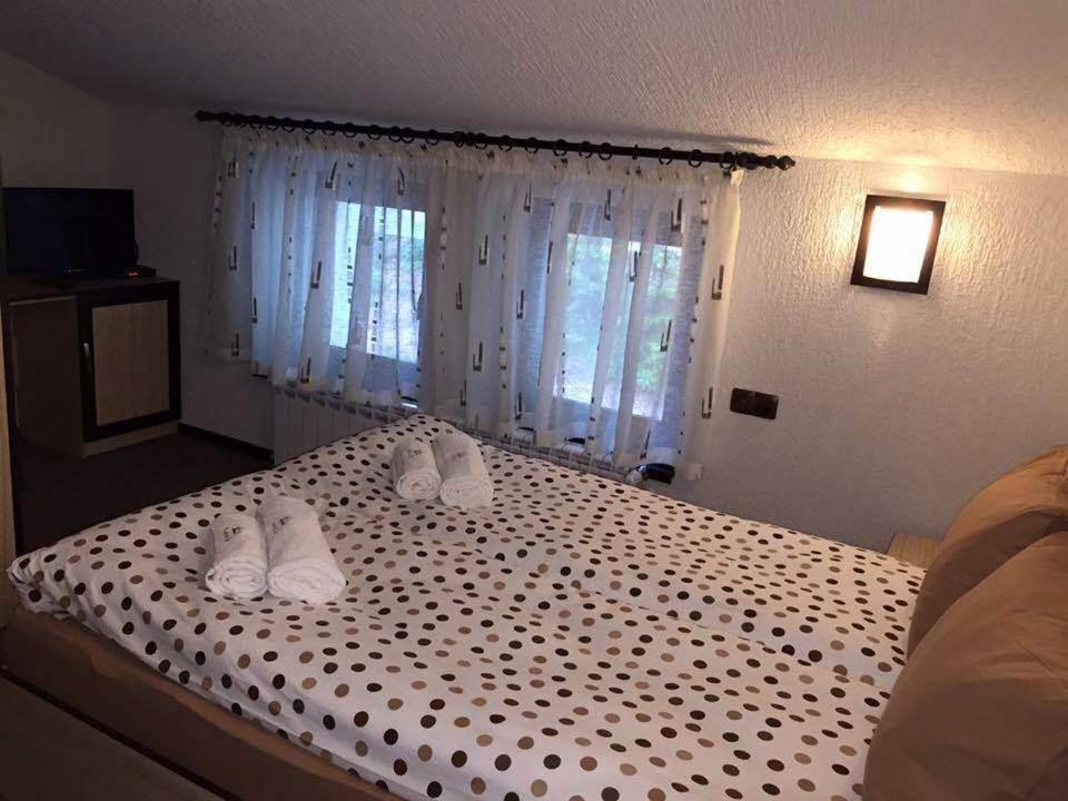 Family Hotel Ginger - Habitación Triple