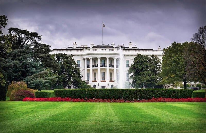 a white house with a lawn in front of it at 1BR Oasis near Takoma Metro Minutes to Capital in Washington, D.C.
