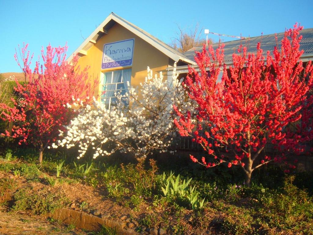 dos árboles con hojas rojas y blancas delante de un edificio en Karma Backpackers, en Kestell