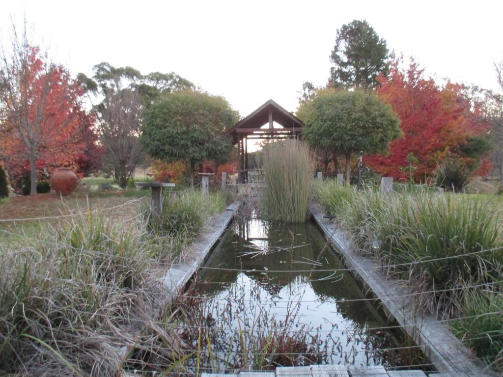 a garden with a pond and a gazebo at Windswept Country Retreat in Ballandean