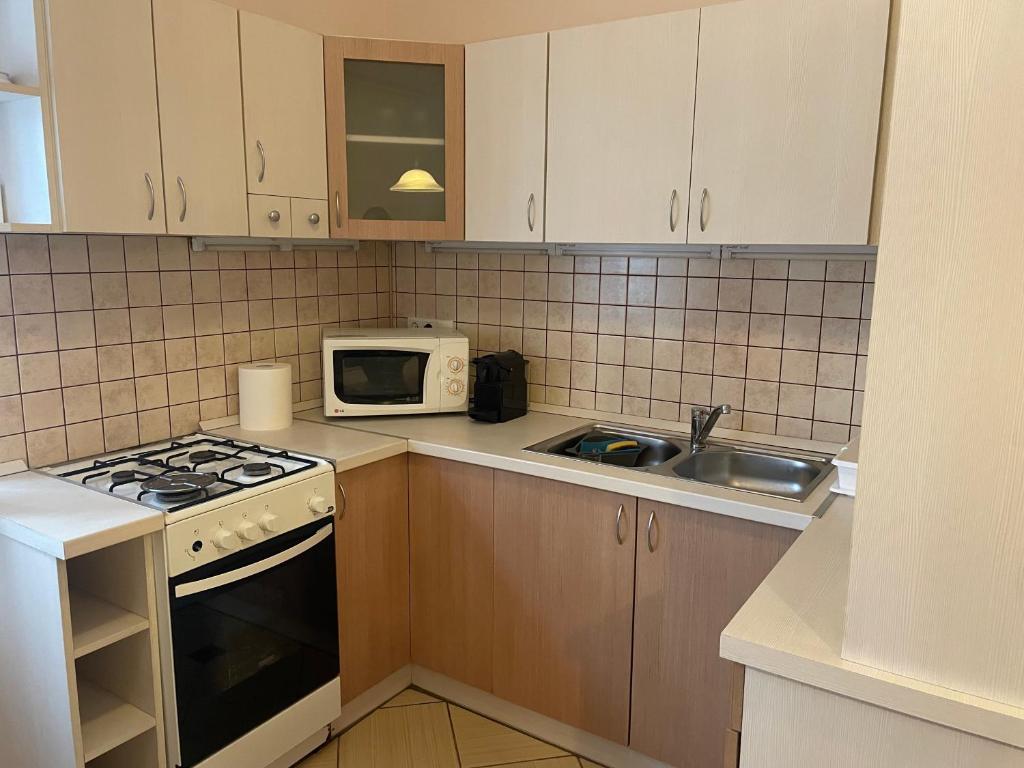 Kuchyň nebo kuchyňský kout v ubytování Platán Apartman