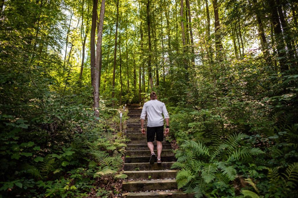Majutusasutuse Wellness & spa hotel Augustiniánský dům külastajad