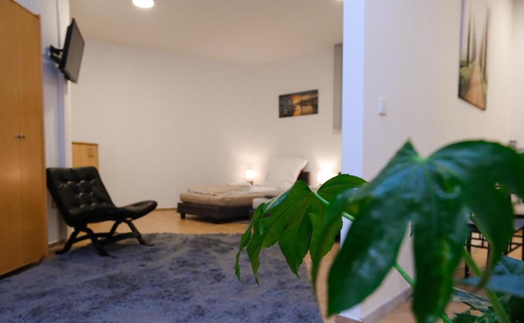 Μια τηλεόραση ή/και κέντρο ψυχαγωγίας στο SchlossCasa Lauf an der Pegnitz Zimmer Venedig