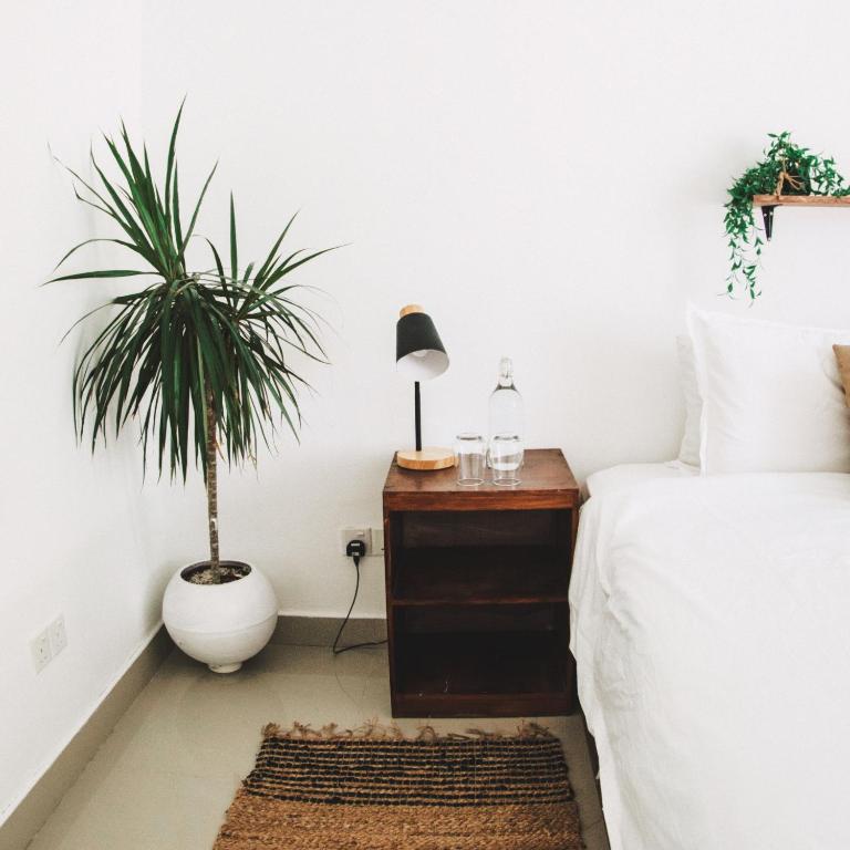 TWIN PALMS 'Surfhouse' - 18