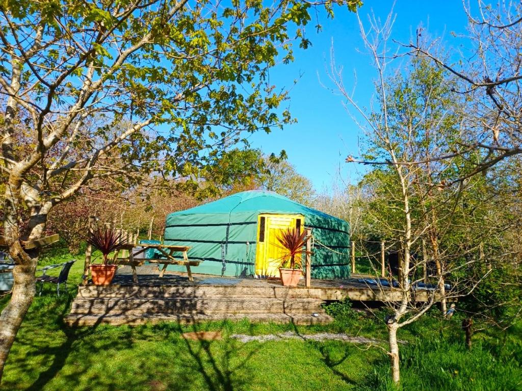 a green tent with a yellow door in a field at The Yurt in Cornish woods a Glamping experience in Penzance