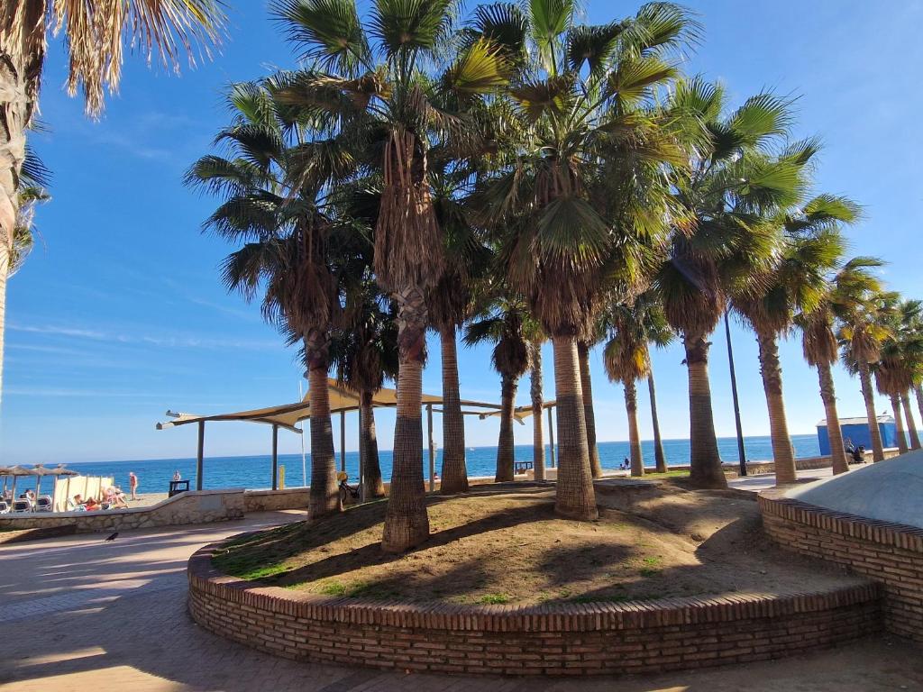 Une rangée de palmiers sur un trottoir près de la plage dans l'établissement Epsilon, à Fuengirola