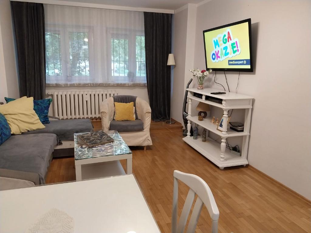 sala de estar con sofá y TV de pantalla plana en Apartament Dymińska, en Varsovia