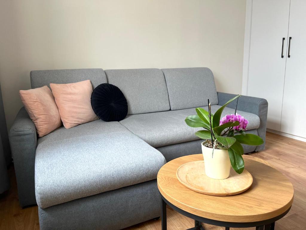 Noclegi Pod Klonem - 4