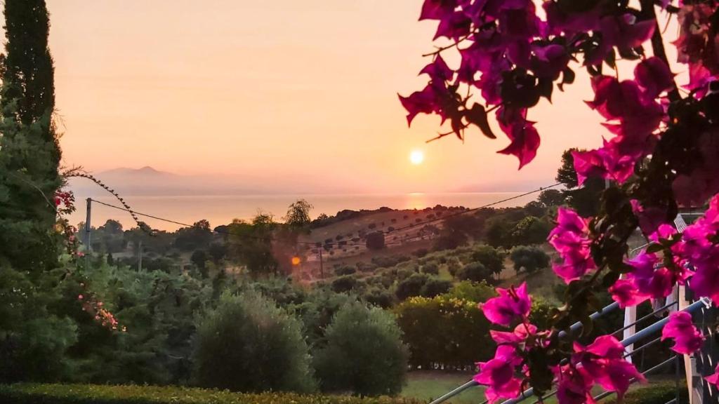 uma vista para o pôr-do-sol a partir de um jardim com flores cor-de-rosa em Lakkopetra Sunrise em Stamatopoulaíika