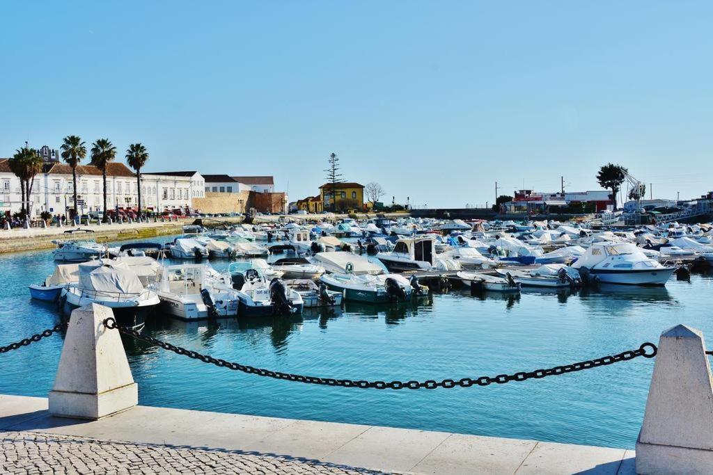 a bunch of boats are docked in a harbor at Casa da vila in Faro