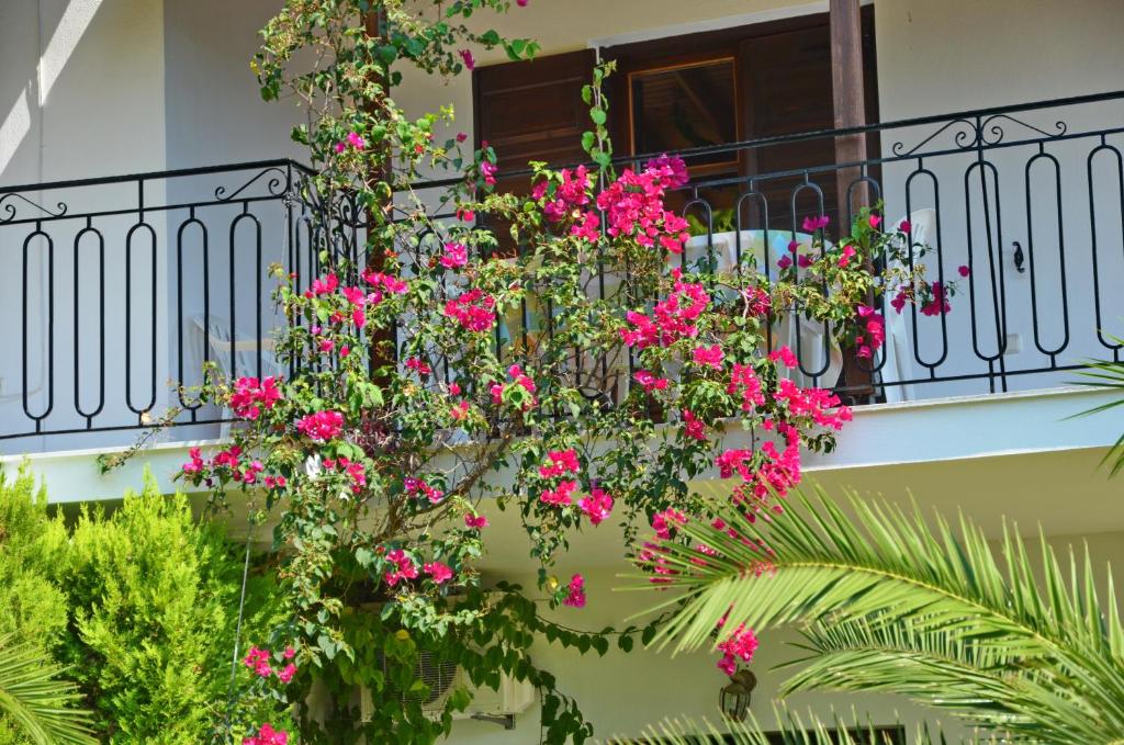 Zahrada ubytování Villa POLYTIMI