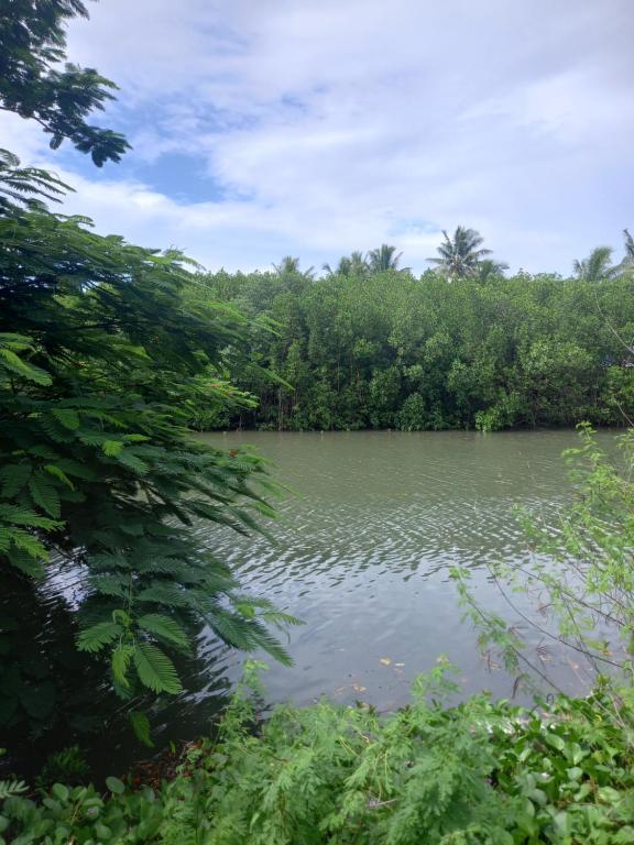 a view of a river with trees in the background at Amour Sea Side in Korotogo