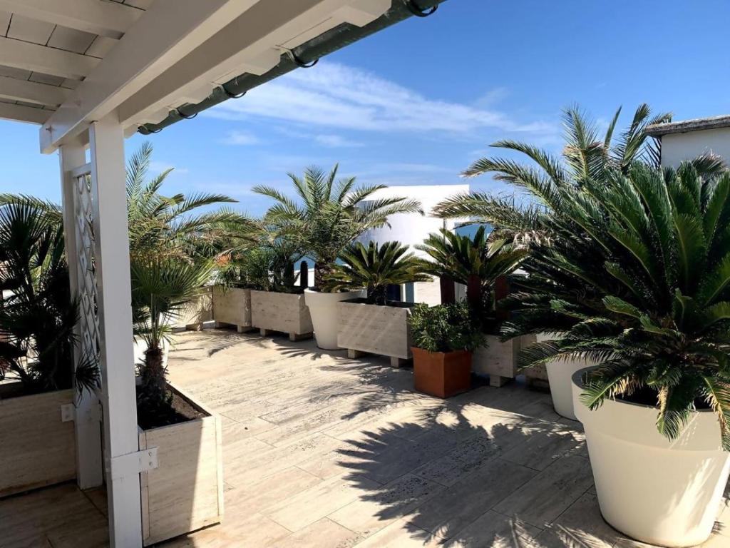 un patio con palmeras y plantas en un edificio en L14 Bilocale in residence con piscina, en Porto Recanati