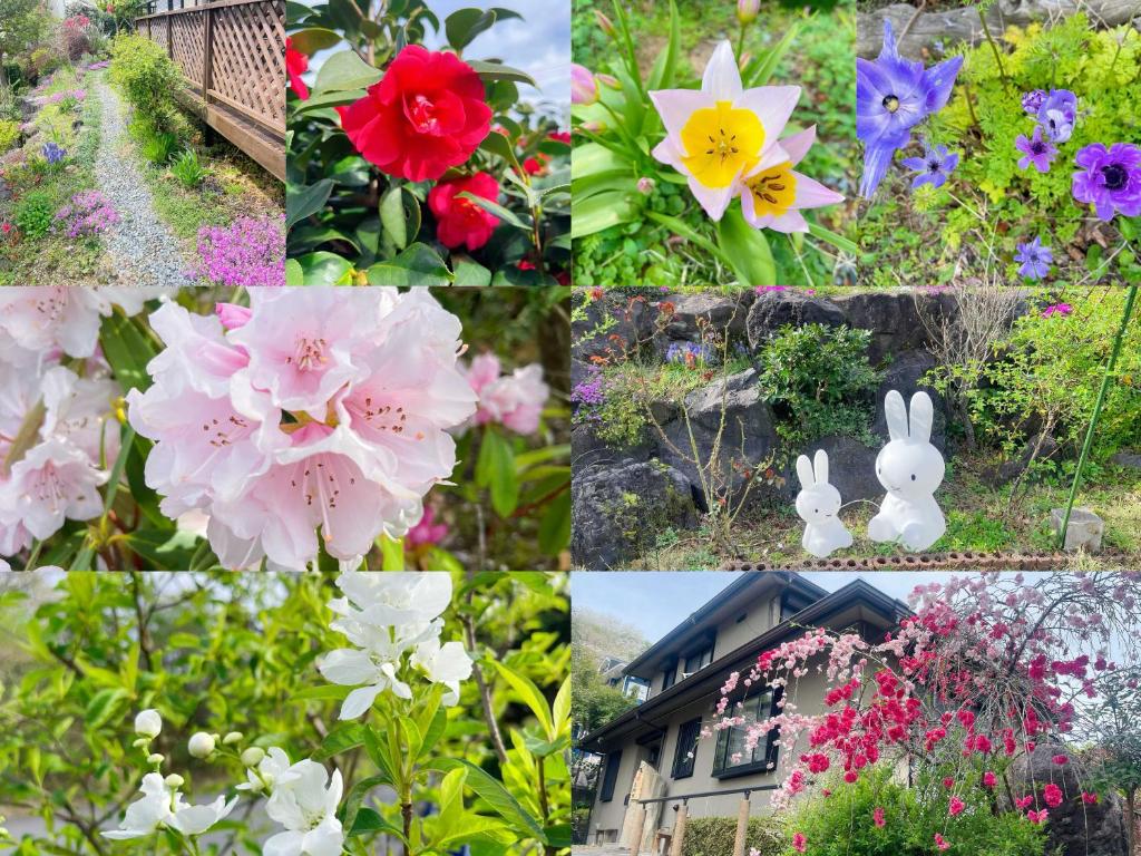 Zahrada ubytování 貸別荘花摘里　伊豆高原