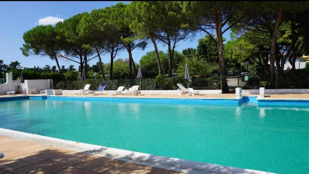 una gran piscina con sillas y árboles en Villa del Capitano, en SantʼAndrea