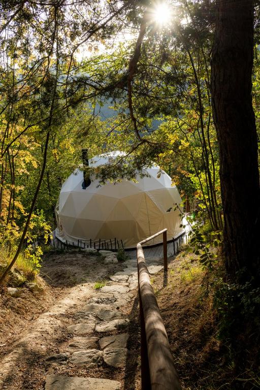 Příroda nedaleko luxury tent