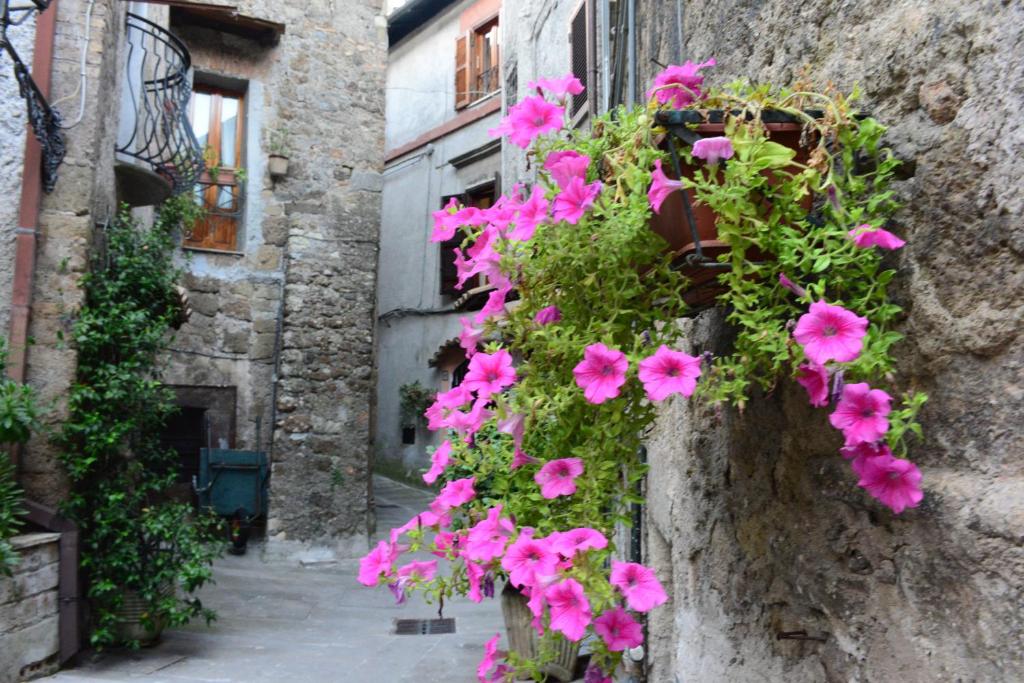 Zdjęcie z galerii obiektu casa Totò w mieście Mazzano Romano