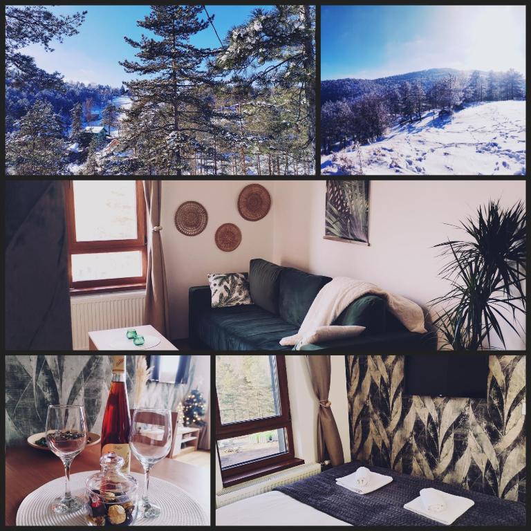 Fotografie z fotogalerie ubytování B9 Divcinova v destinaci Divčibare