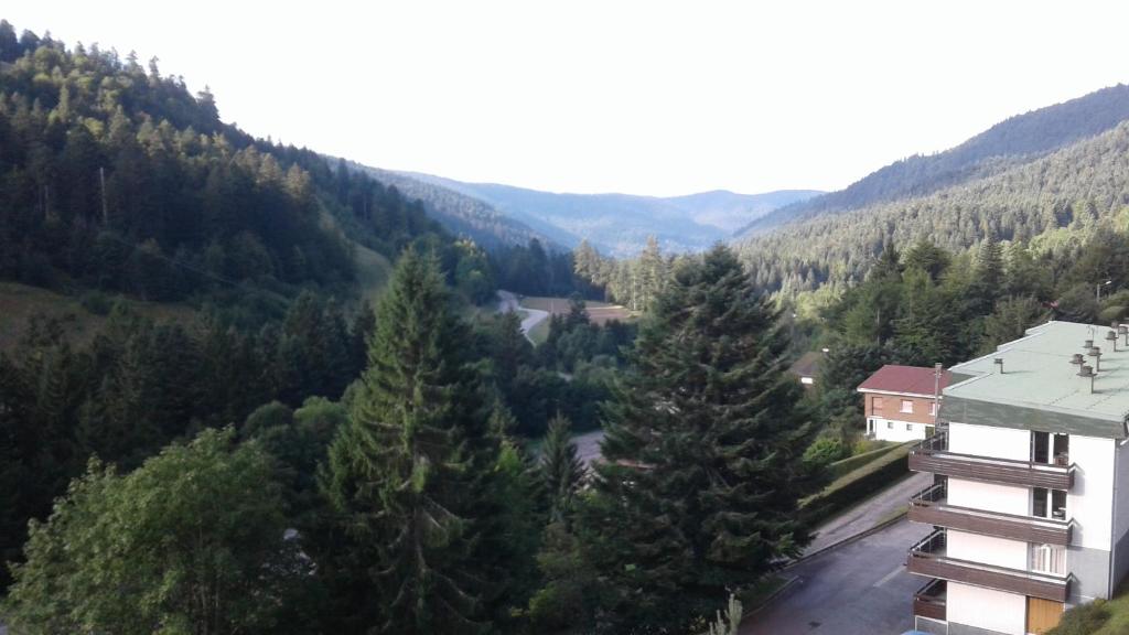 a view of a valley with trees and a building at Le chitelet rouge, Hohneck in La Bresse