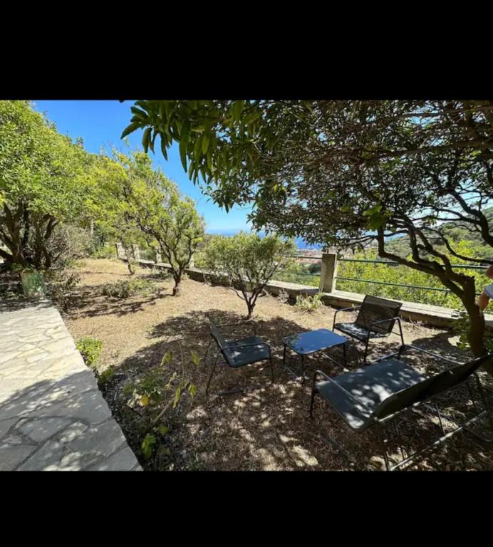 une table de pique-nique et des chaises assises sous un arbre dans l'établissement 10 min de Monaco petite maison avec jardin vue mer et rocher de Monaco, à La Turbie