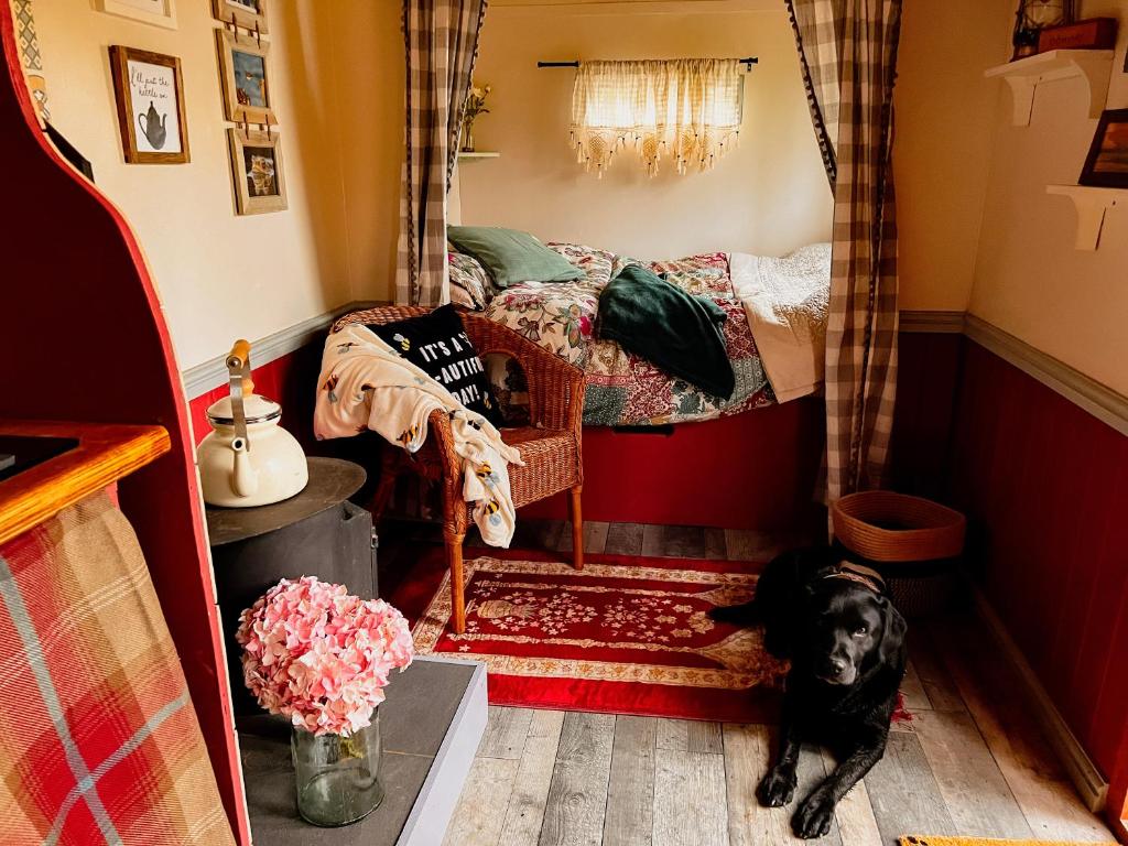 North Norfolk Glamping - 木屋