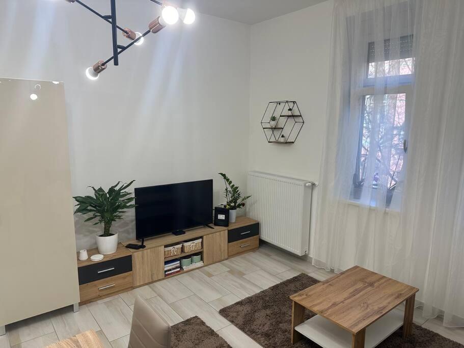 TV a/nebo společenská místnost v ubytování Szeged Szive Apartman
