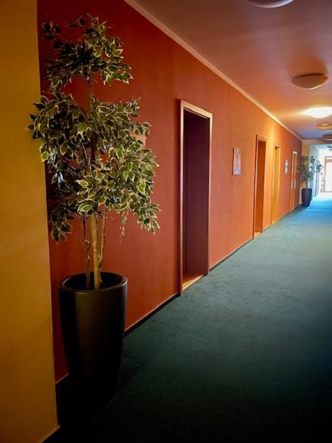 Fotografie z fotogalerie ubytování Hotel U Milína v destinaci Milín