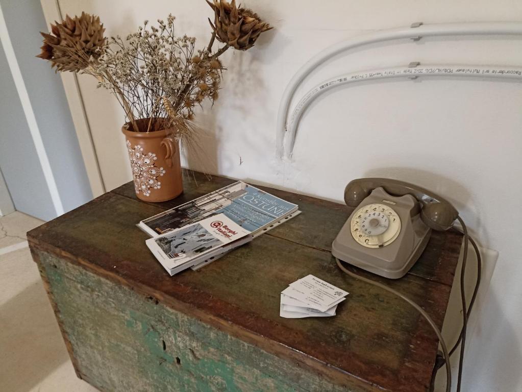 Fotografia z galérie ubytovania B&B La casa degli artisti v destinácii Ostuni