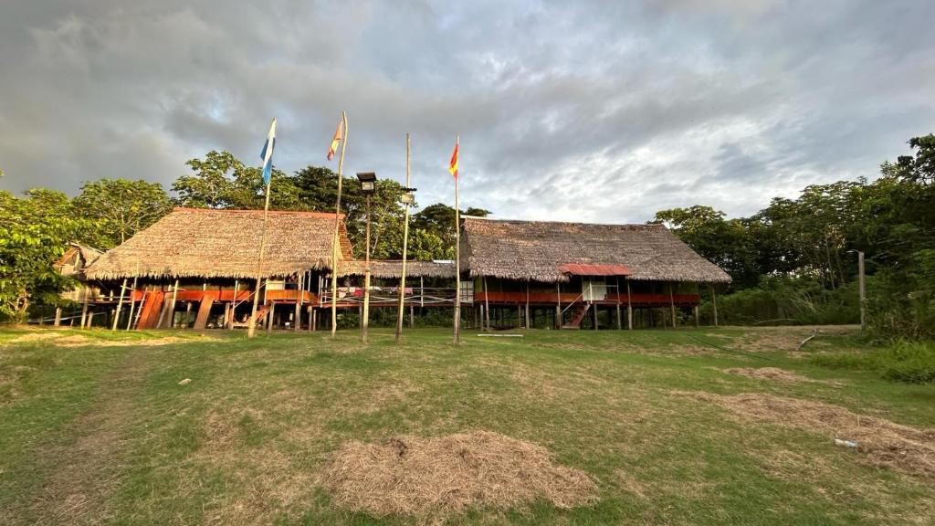 deux bâtiments arborant des drapeaux devant un champ dans l'établissement Campamento Txoko de Shapshico, à Puerto Franco