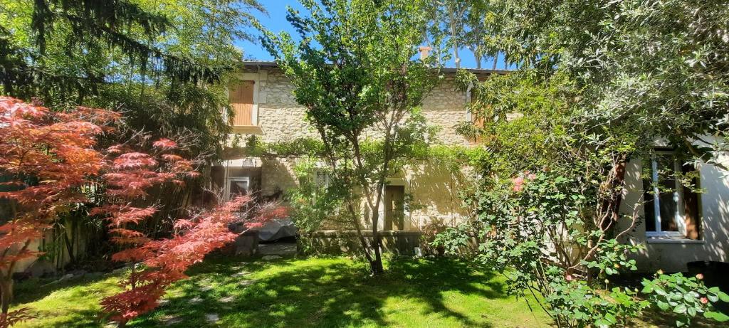 un jardin en face d'un bâtiment en briques avec des arbres dans l'établissement Maison Auguste R., à Avignon