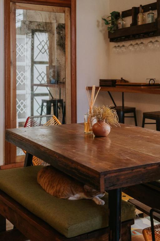 Fotografie z fotogalerie ubytování Casa Mezcla - Bed & Breakfast v destinaci Mérida