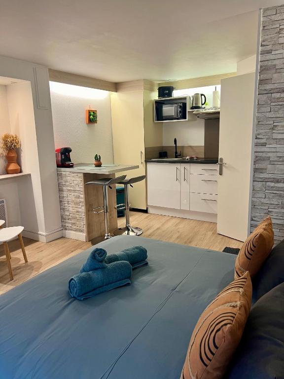 - un salon avec un tapis bleu au sol dans l'établissement Casa Cloutiers #1, #2 & #3 - Jolis Studios - Emplacement Idéal Hyper Centre Brive, à Brive-la-Gaillarde