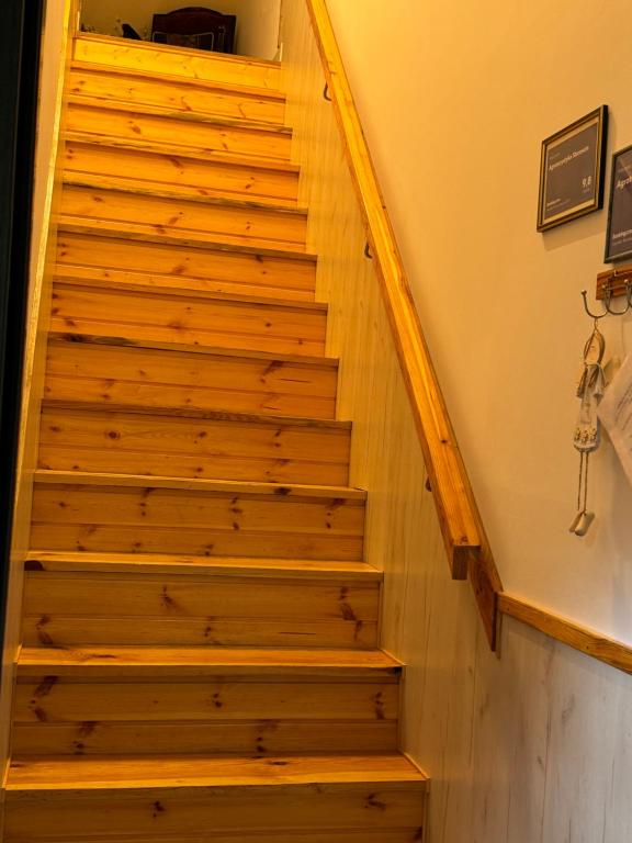 Agroturystyka Staroscin - 10