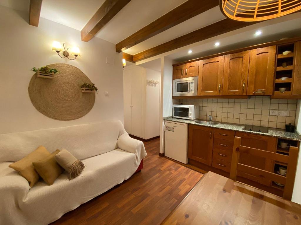 Luxury House Valencia D'Aneu - Studio
